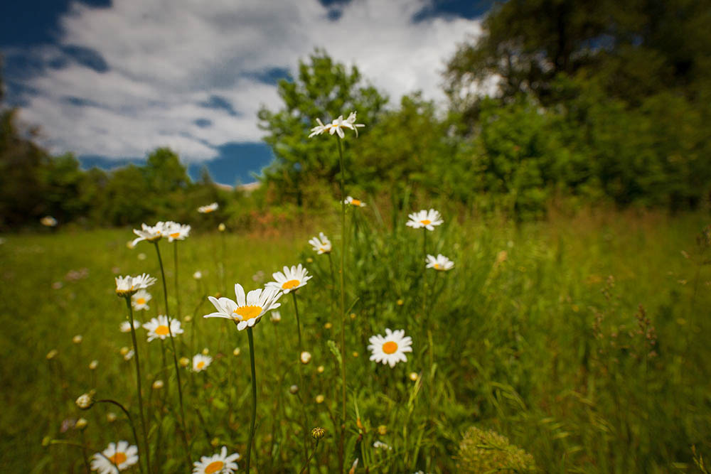 Фотографія Разное / Юрий Артюх / photographers.ua