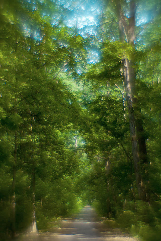 Фотографія Пейзаж / Юрий Артюх / photographers.ua