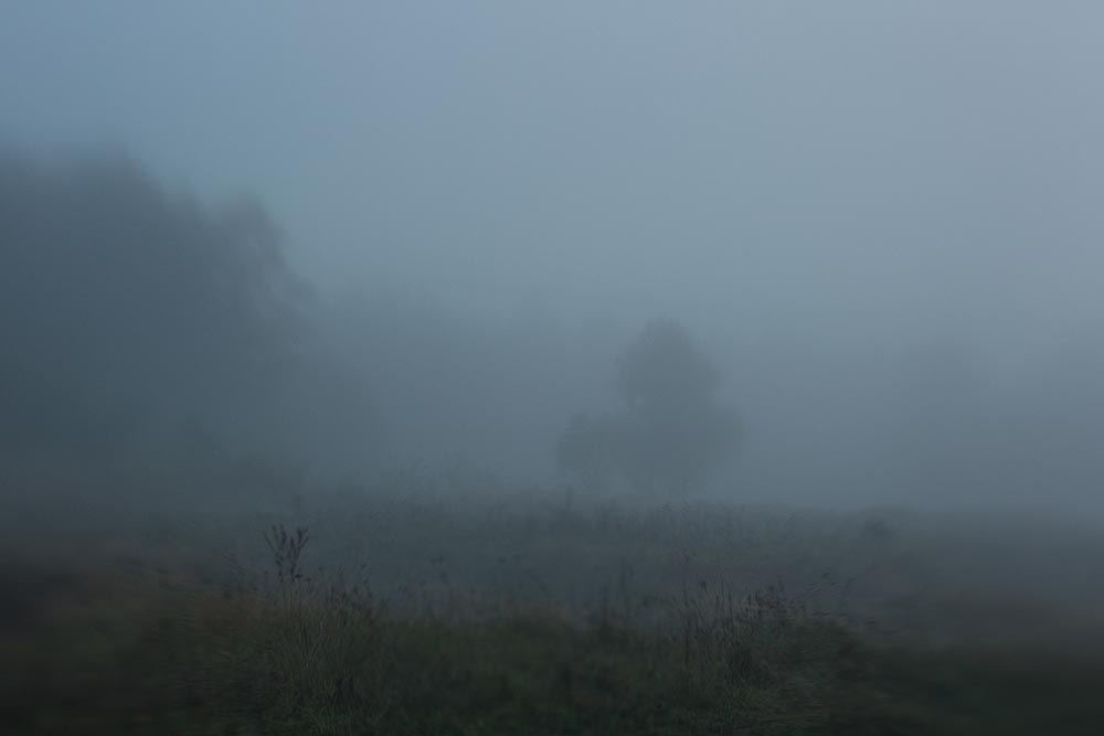 Фотографія Пейзаж / Юрий Артюх / photographers.ua