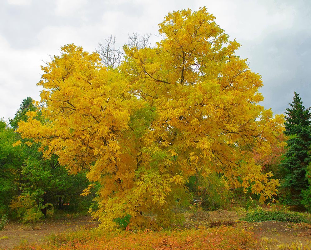 Фотографія Пейзаж / Юрий Артюх / photographers.ua