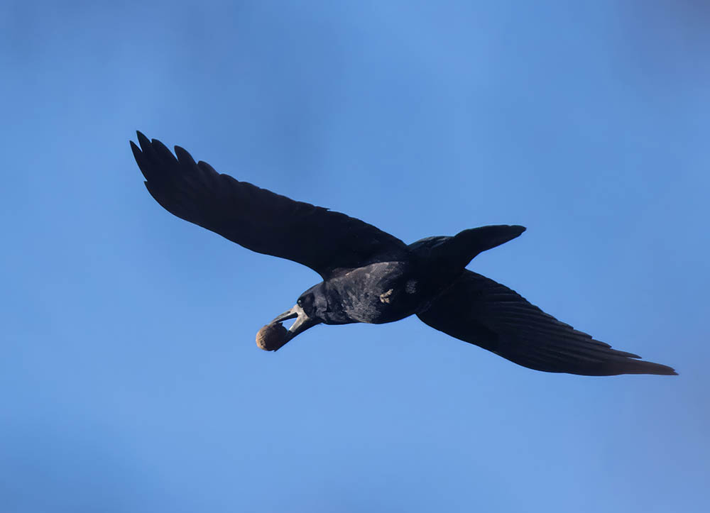 Фотографія В закат / Юрий Артюх / photographers.ua