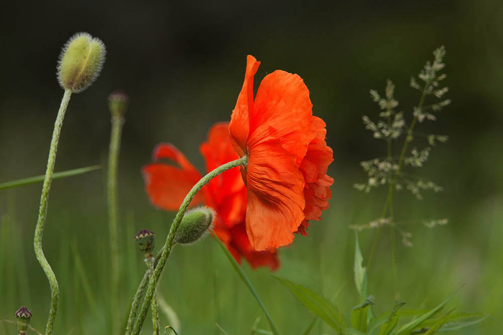 Фотографія Разное / Юрий Артюх / photographers.ua