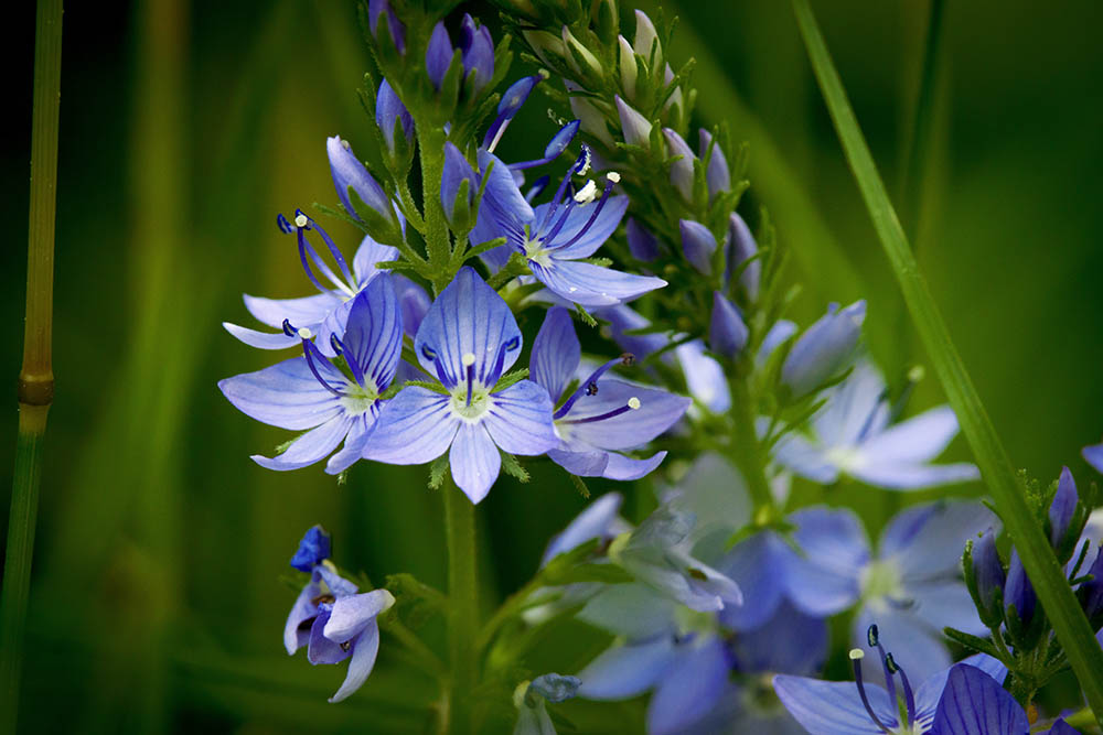 Фотографія Разное / Юрий Артюх / photographers.ua