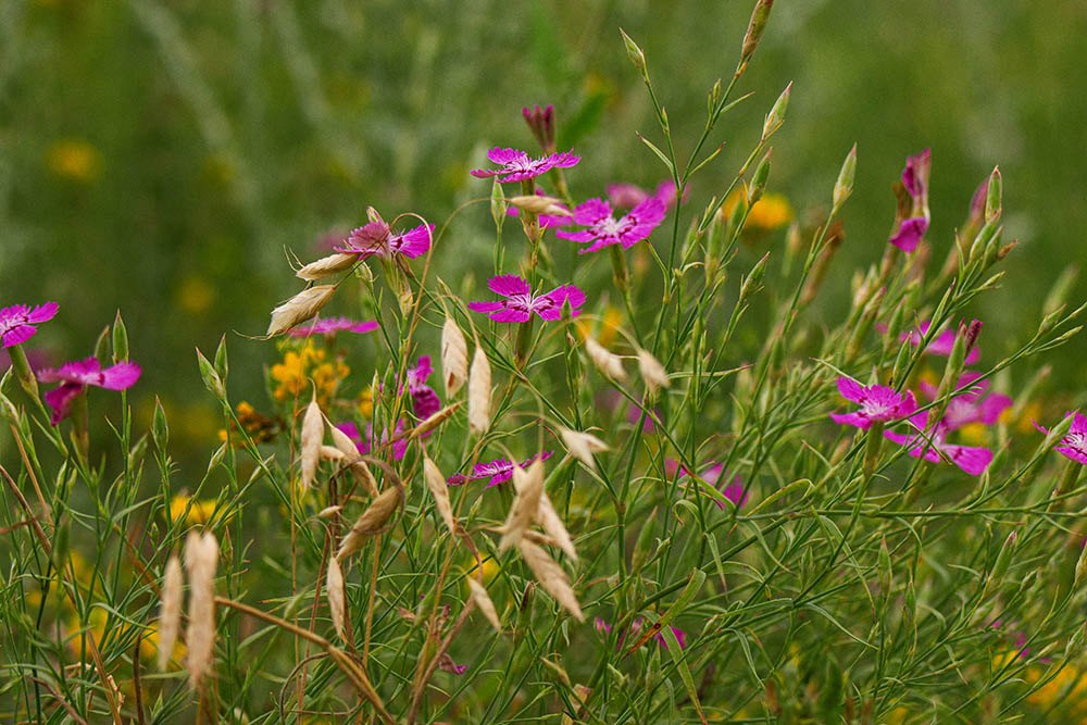 Фотографія Разное / Юрий Артюх / photographers.ua