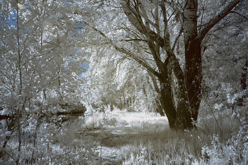Фотографія Пейзаж / Юрий Артюх / photographers.ua