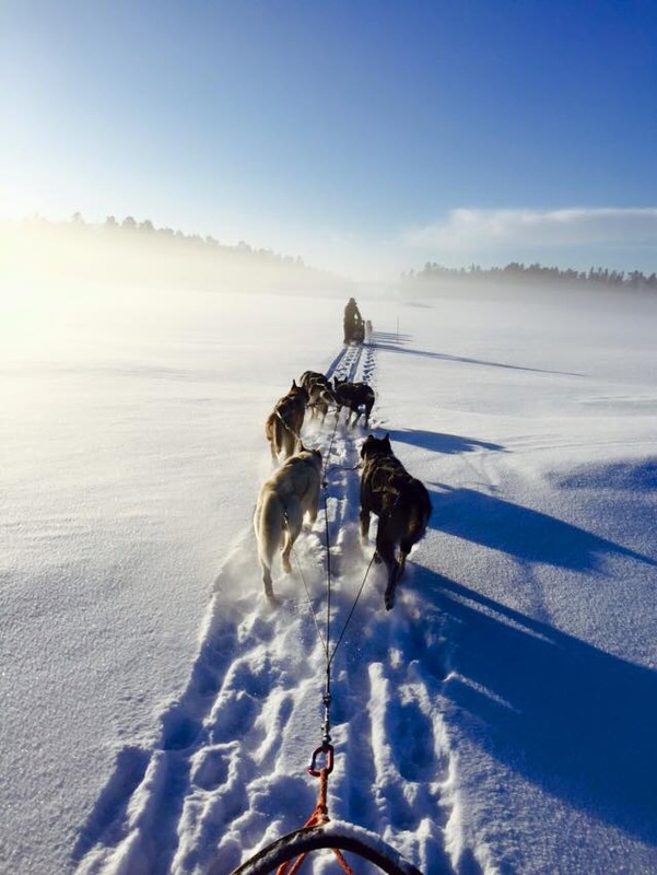 Фотографія Snow road (Finland) / Андрей Дрогобыцкий / photographers.ua