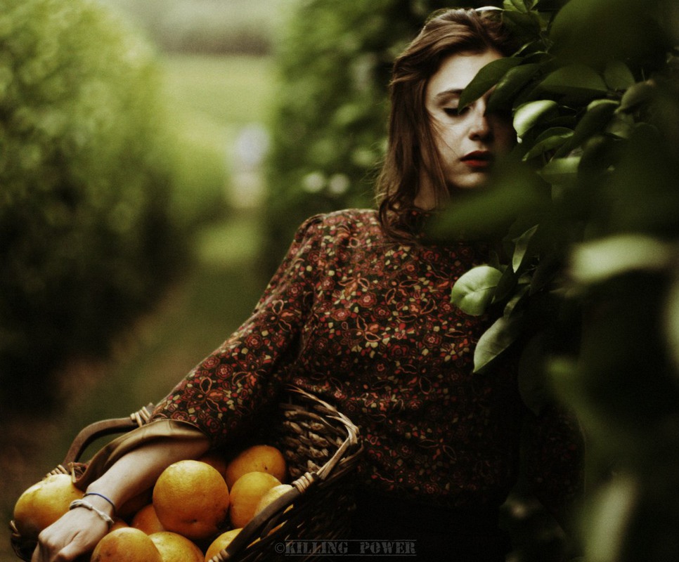 Фотографія The Orange Summer / Батай Валерий / photographers.ua