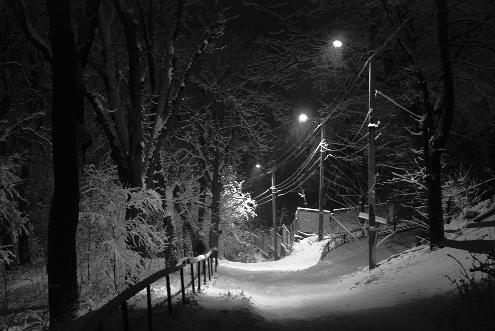Фотографія А снег идет. / Владимир Лобанов / photographers.ua