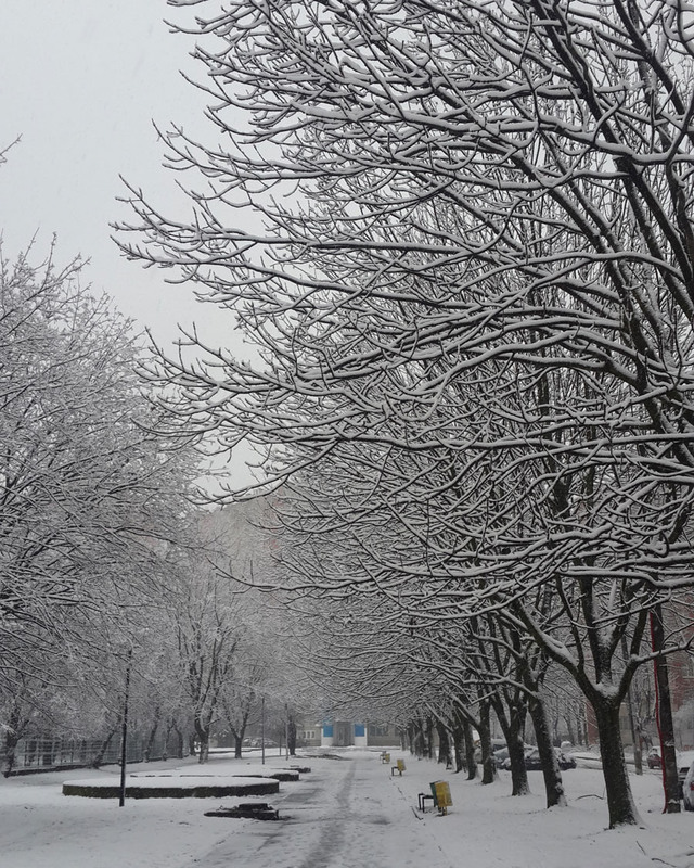 Фотографія Winter time / Anna Vozniak / photographers.ua