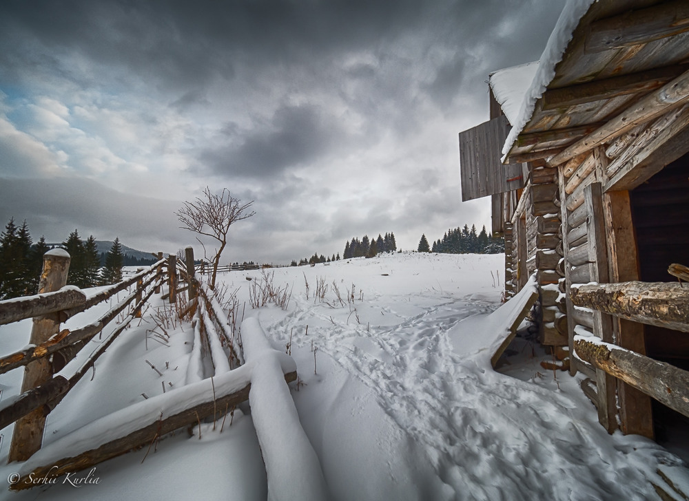 Фотографія Сніговий луг / Сергей Курля / photographers.ua