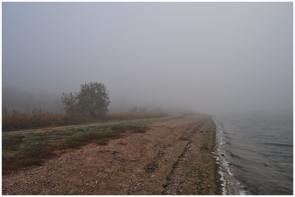 Фотографія Берег лимана в тумане / Владимир Каминский / photographers.ua