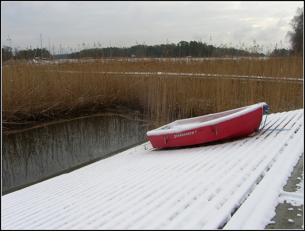 Фотографія Зима прислала весточку / Ingeborga / photographers.ua