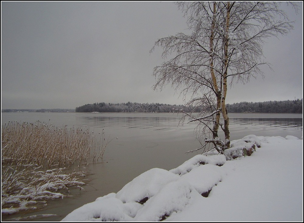 Фотографія Зимний пейзаж Финляндии / Ingeborga / photographers.ua