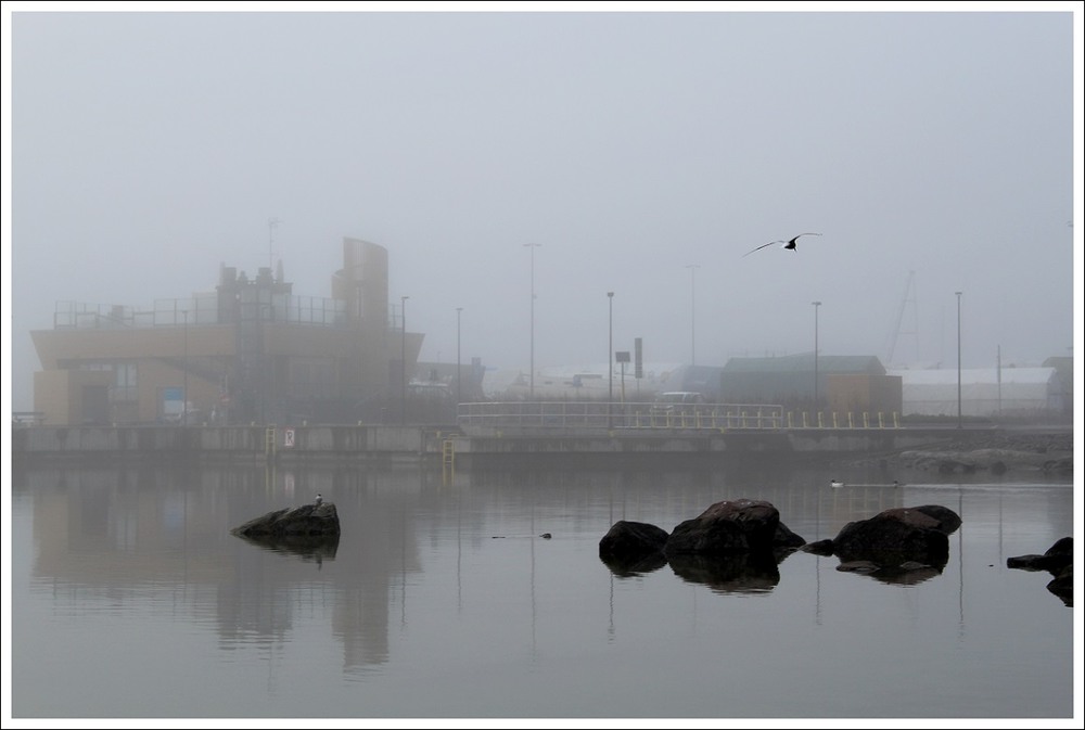 Фотографія Апрельский туман / Ingeborga / photographers.ua