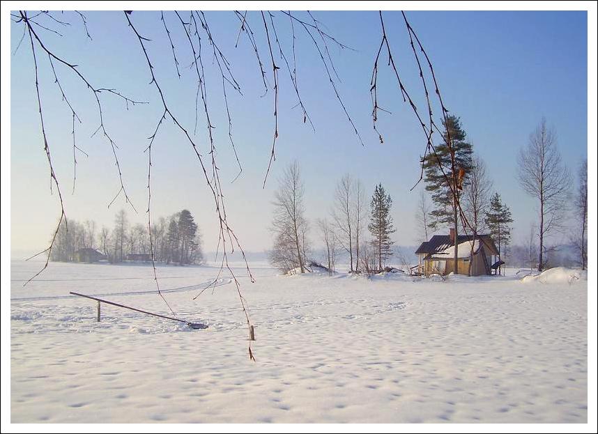 Фотографія зима на лесном озере / Ingeborga / photographers.ua