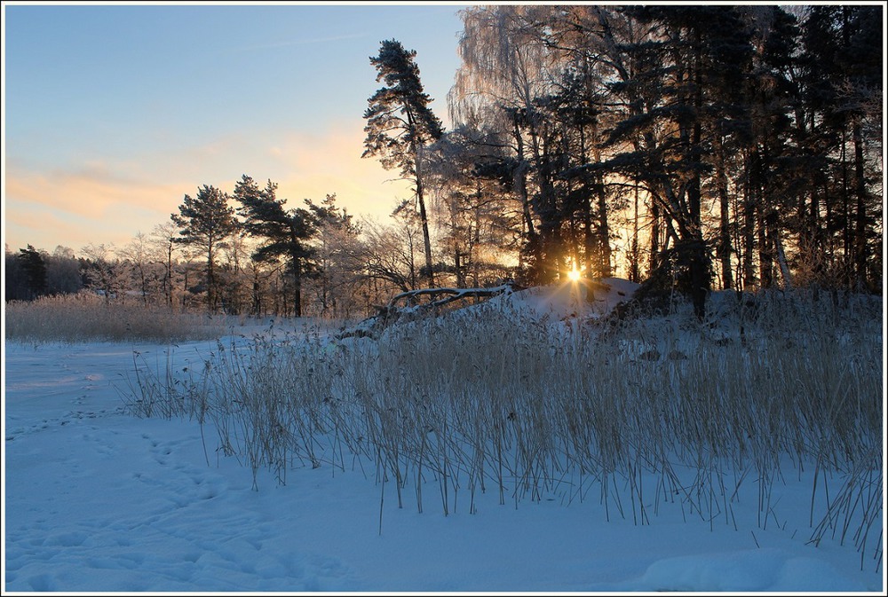Фотографія Мороз и солнце / Ingeborga / photographers.ua