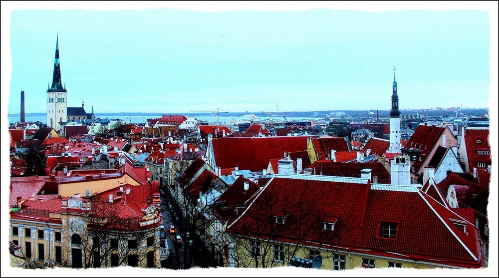 Фотографія Tallinn / Ingeborga / photographers.ua