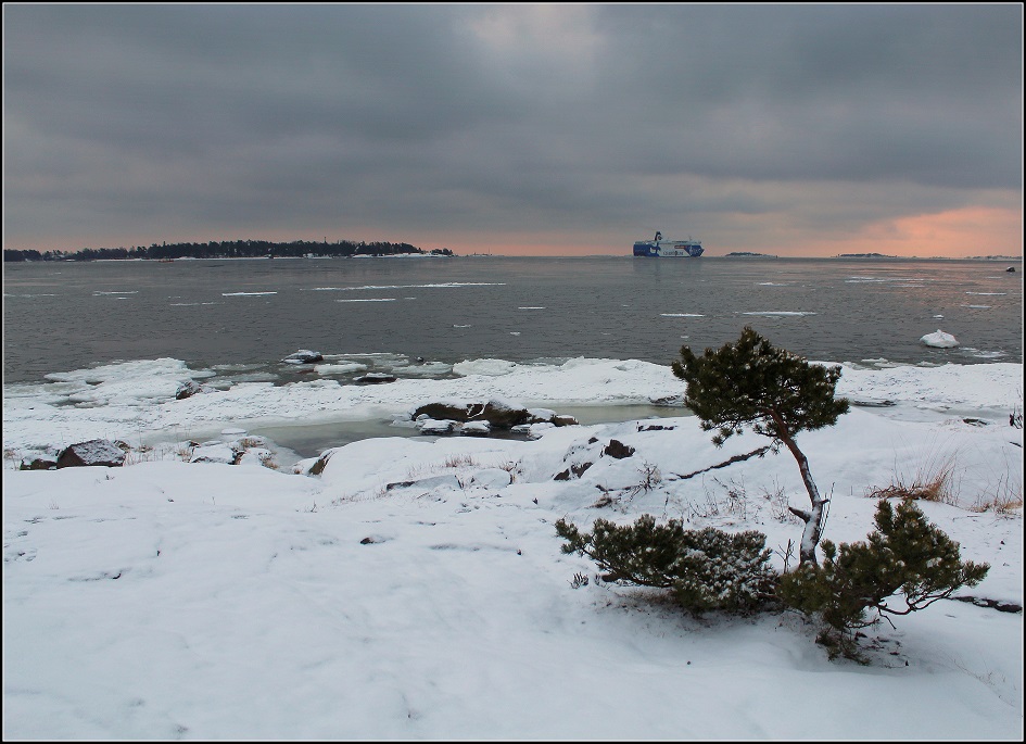 Фотографія Зимнее утро на Балтике / Ingeborga / photographers.ua