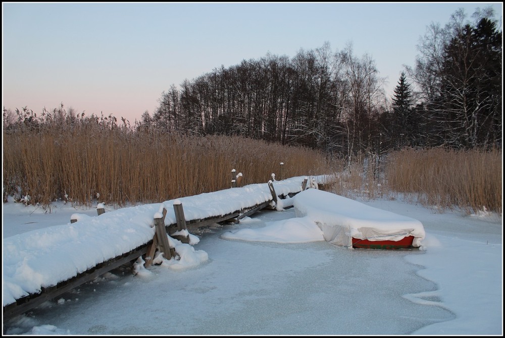 Фотографія На зимовке / Ingeborga / photographers.ua