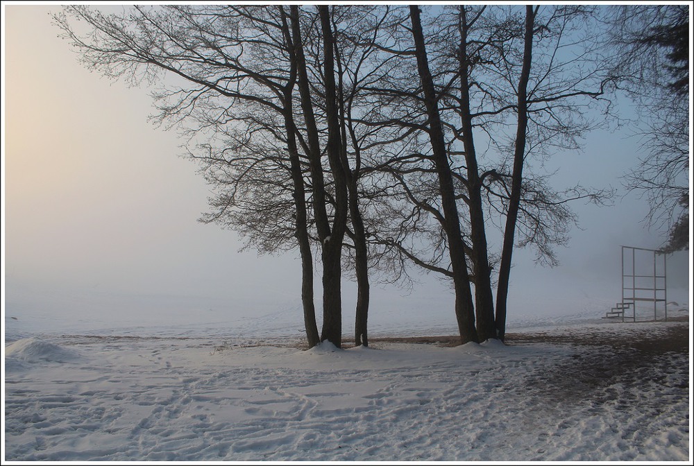 Фотографія Туманный берег / Ingeborga / photographers.ua