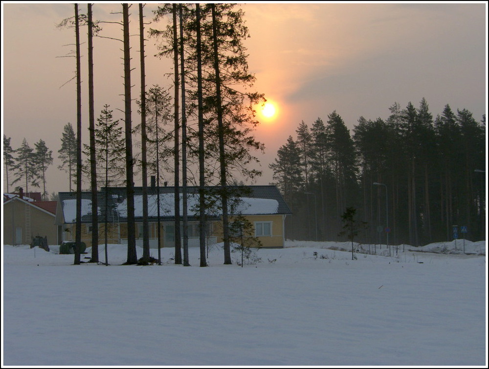 Фотографія Раннее зимнее утро / Ingeborga / photographers.ua