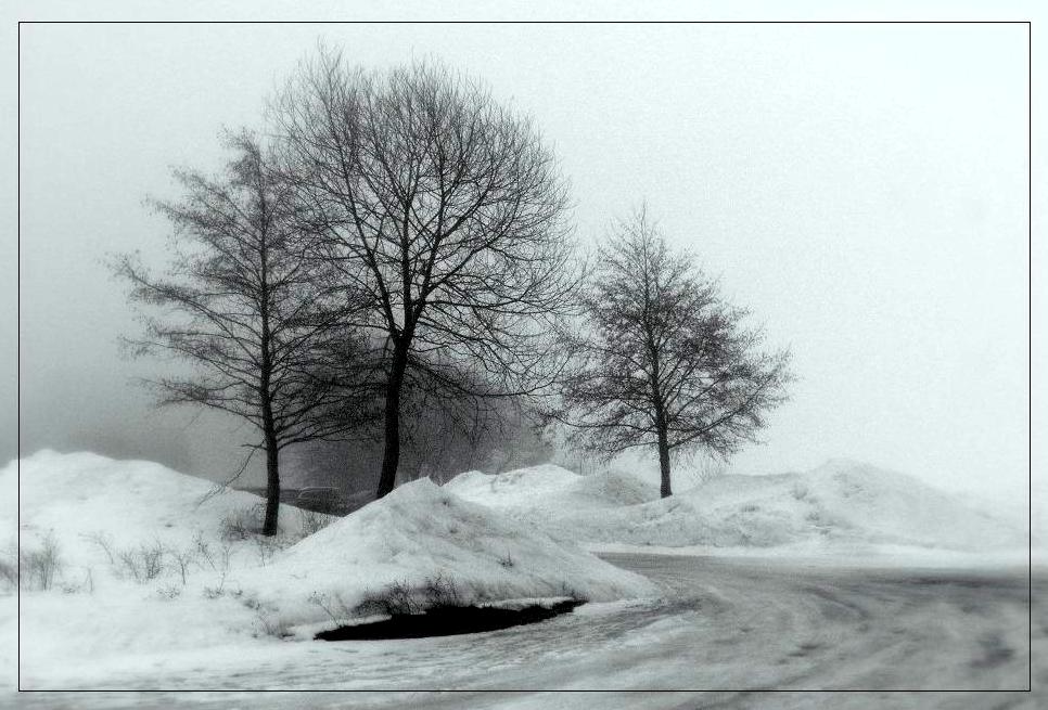 Фотографія Зимний пейзаж / Ingeborga / photographers.ua