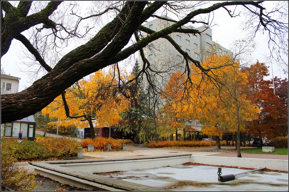 Фотографія Время листопада / Ingeborga / photographers.ua