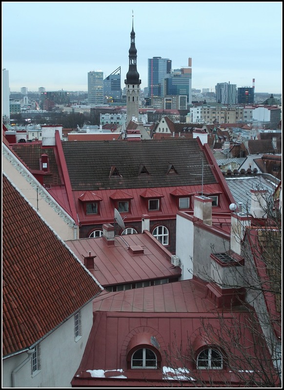 Фотографія Вид на город с Вышгорода / Ingeborga / photographers.ua
