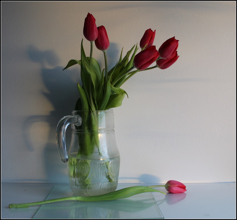 Фотографія Этюд c тюльпанами / Ingeborga / photographers.ua