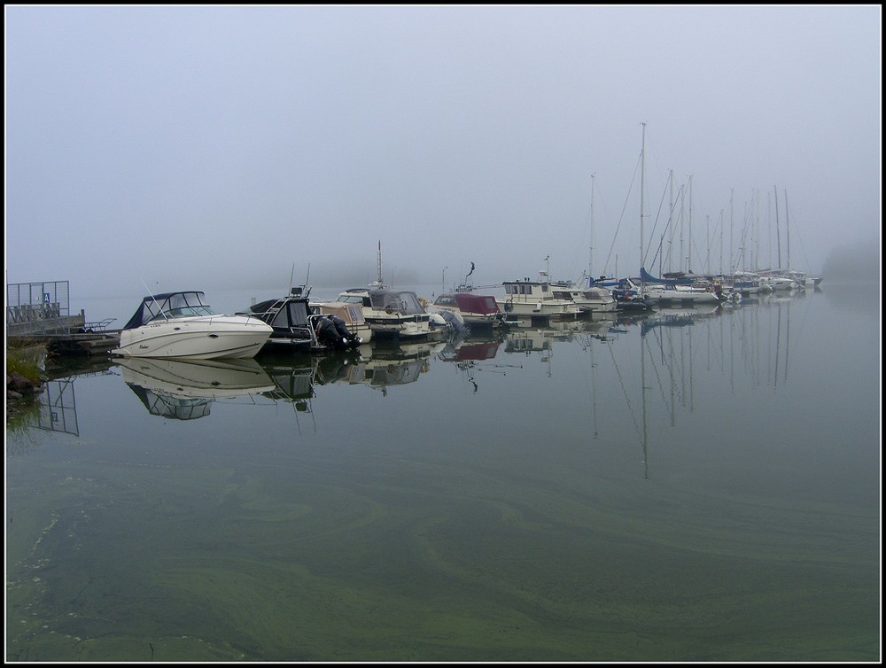 Фотографія Наедине с туманом / Ingeborga / photographers.ua