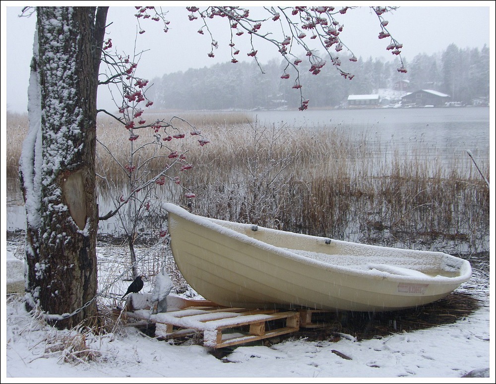 Фотографія Первый день зимы / Ingeborga / photographers.ua