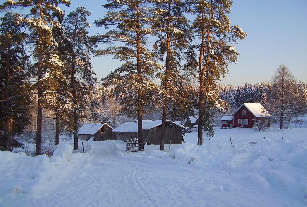 Фотографія Зима на карельском хуторе / Ingeborga / photographers.ua