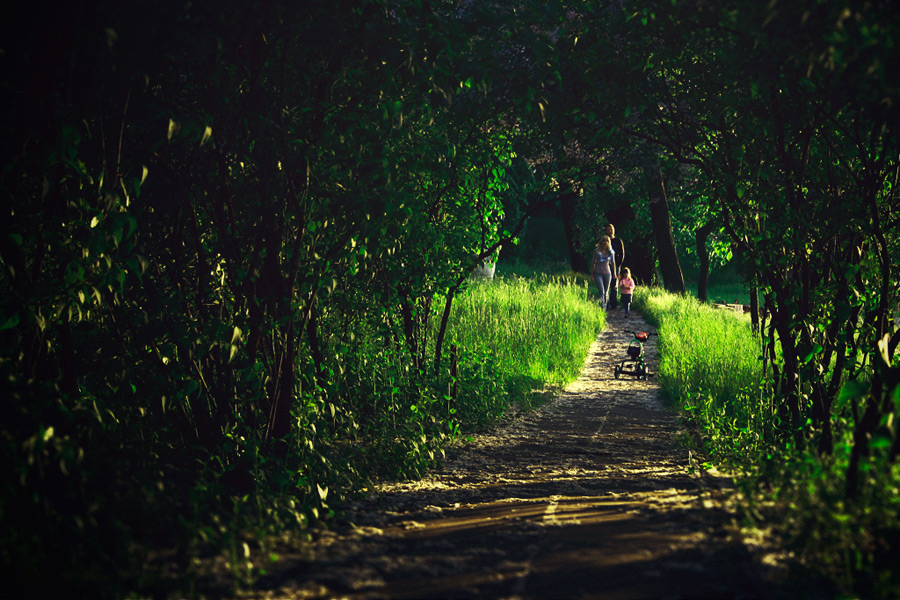 Фотографія Лисапед / Артем Шимко / photographers.ua