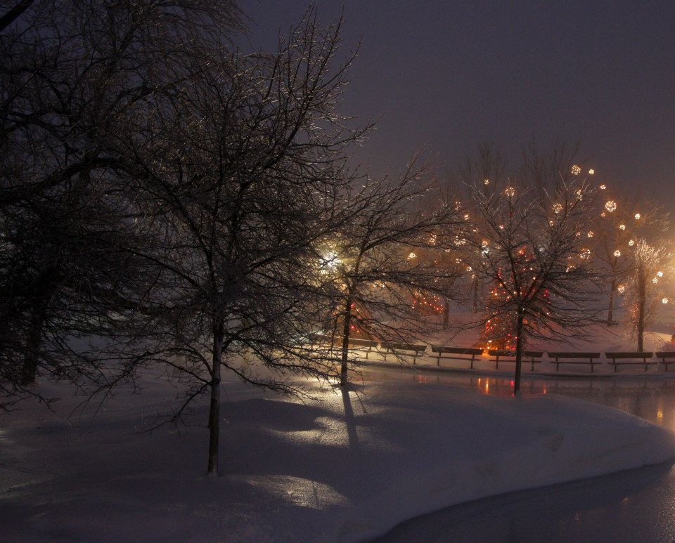Фотографія Причуды зимы или зимняя сказка. / Dmitry Neiman / photographers.ua