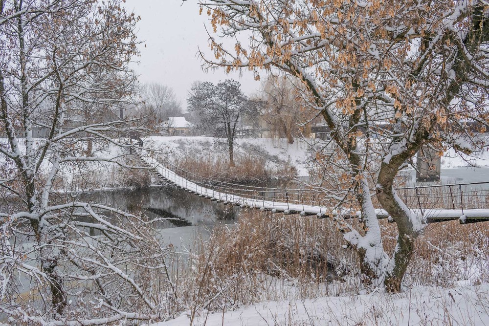 Фотографія Зима стоїть, скляна і перкалева... (Ліна Костенко) / Ihor Hurtovyi / photographers.ua