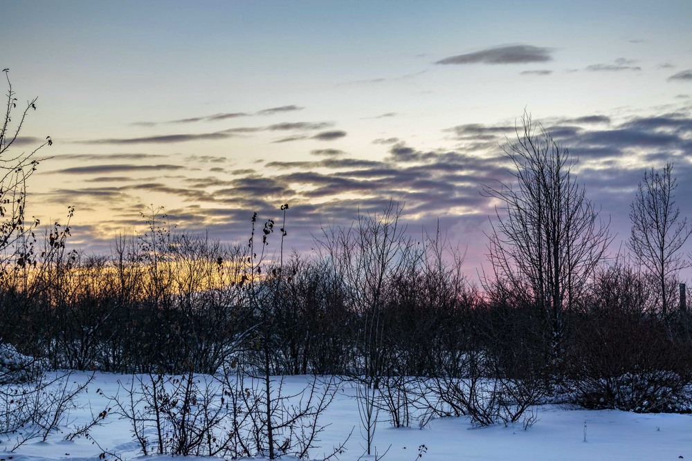Фотографія Морозное дыхание зимы... / Ihor Hurtovyi / photographers.ua