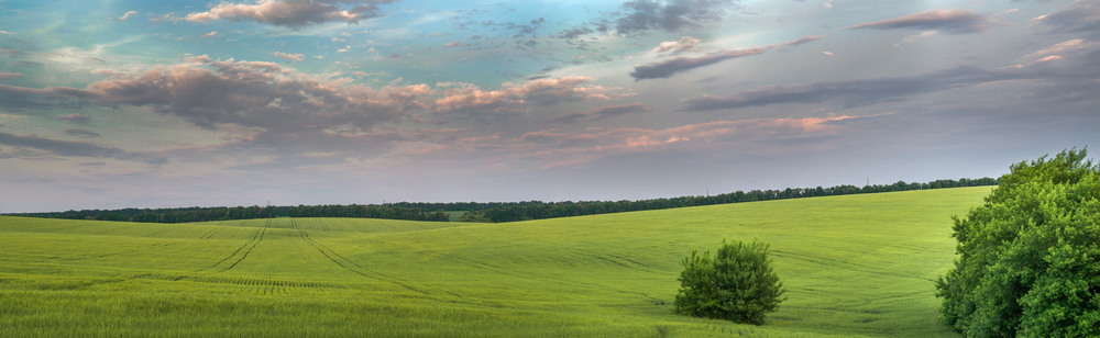 Фотографія Вечір над ячмінним полем... / Ihor Hurtovyi / photographers.ua