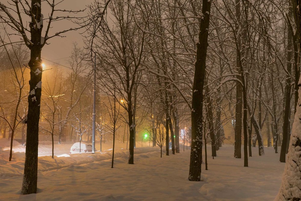 Фотографія Снег идет... / Ihor Hurtovyi / photographers.ua