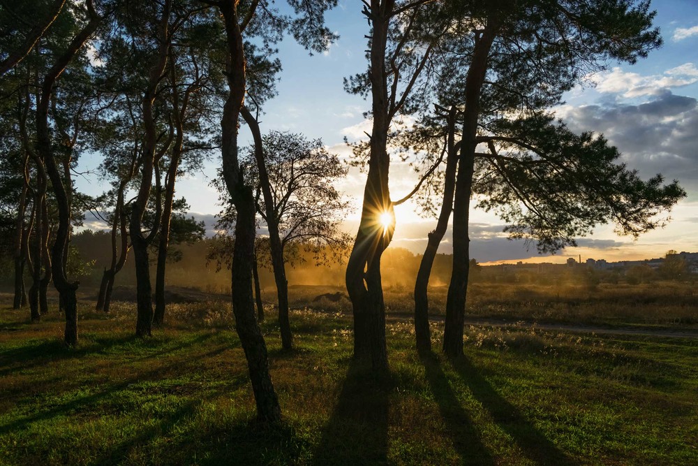 Фотографія Поймать солнце... / Ihor Hurtovyi / photographers.ua