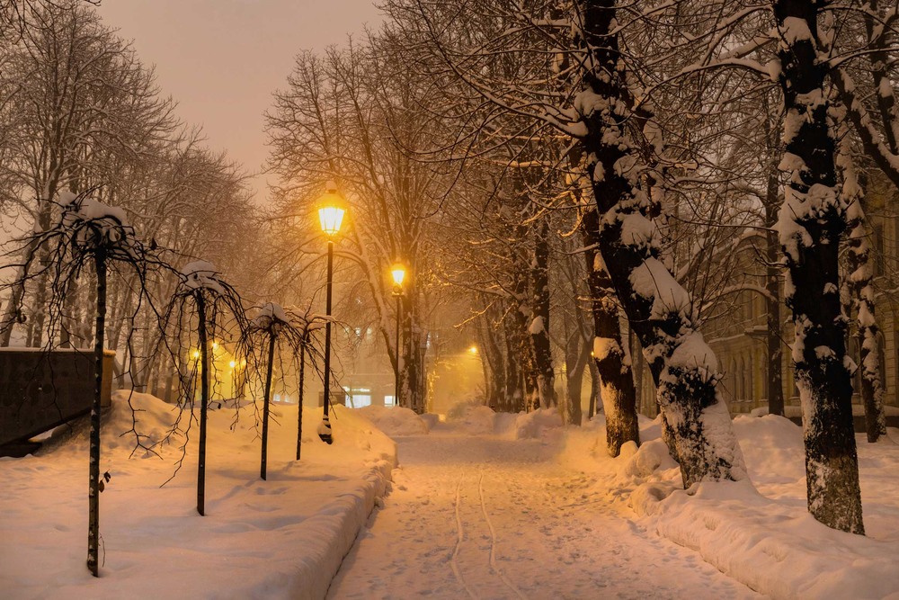 Фотографія Ніжна зима... / Ihor Hurtovyi / photographers.ua