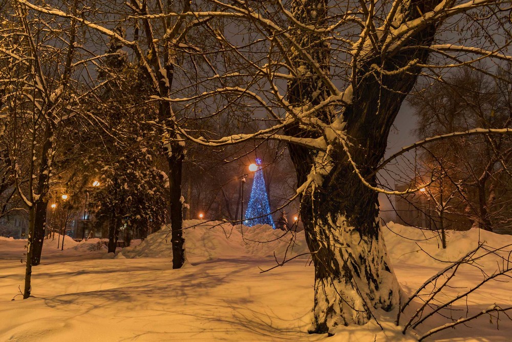 Фотографія Іще один святковий зимній вечір... / Ihor Hurtovyi / photographers.ua