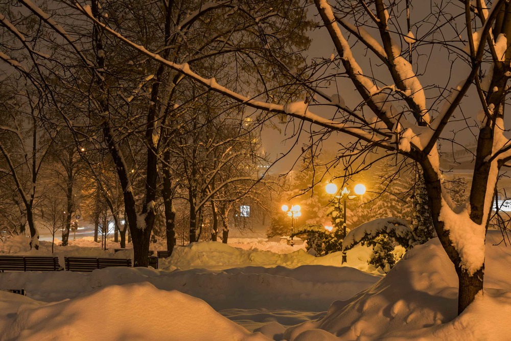 Фотографія Зима крізь вії дивиться на світ... / Ihor Hurtovyi / photographers.ua