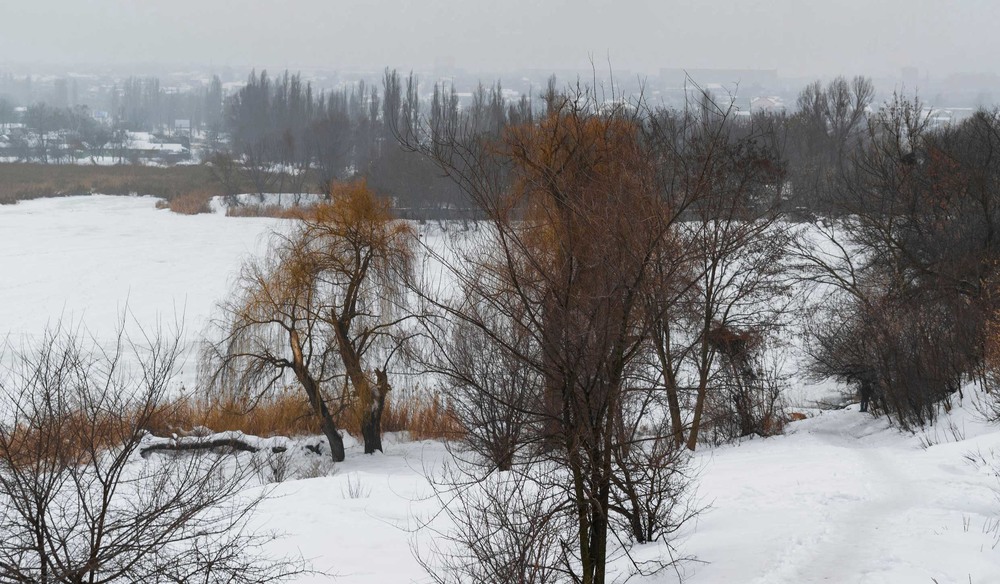 Фотографія Просто зимній день... / Ihor Hurtovyi / photographers.ua