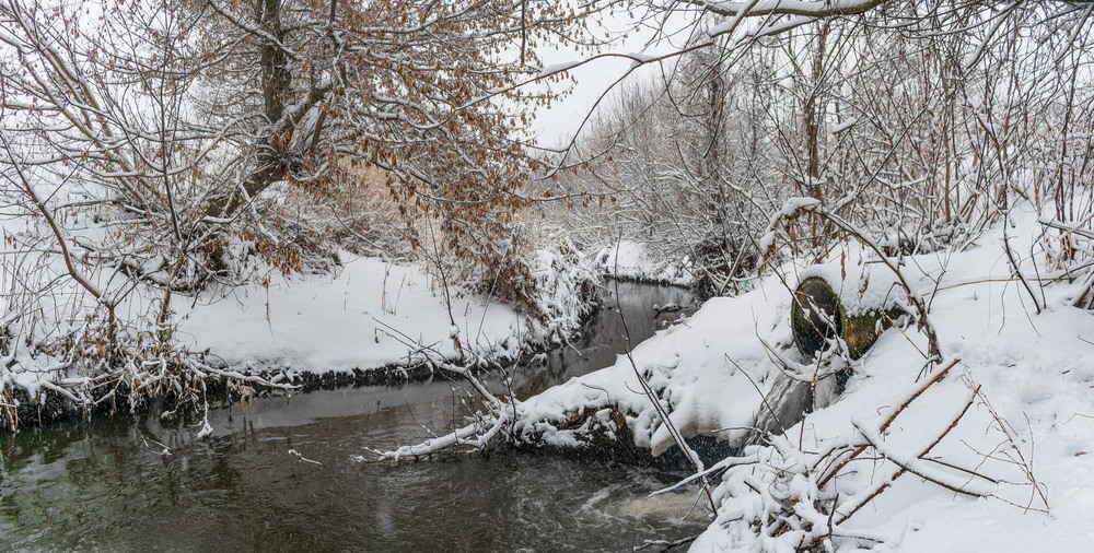Фотографія Зимова тиша... / Ihor Hurtovyi / photographers.ua