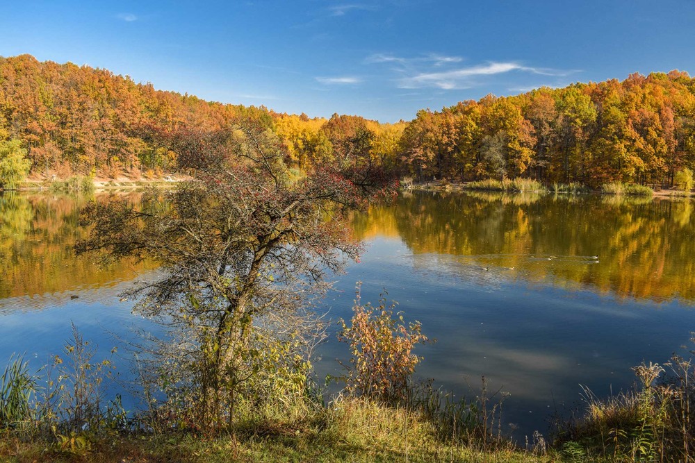 Фотографія Недаремно осінь зветься золотою! / Ihor Hurtovyi / photographers.ua