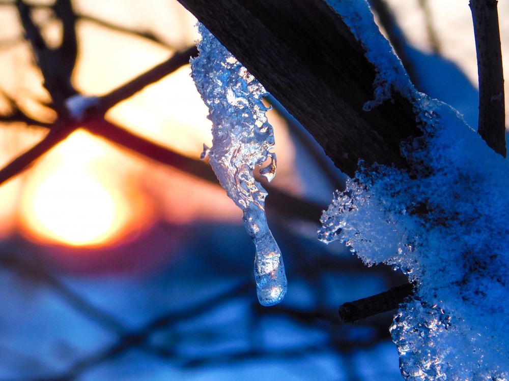Фотографія Зима, мороз, солнце, серебро... / Ihor Hurtovyi / photographers.ua