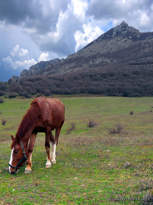 Фотографія Пейзаж / Alex Novik / photographers.ua