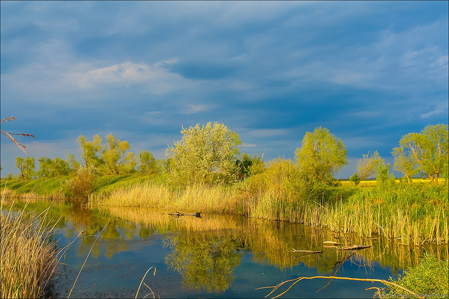 Фотографія После дождя / Alex Novik / photographers.ua