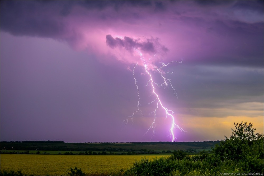 Фотографія Жанр / Alex Novik / photographers.ua