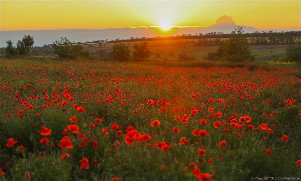 Фотографія Пейзаж / Alex Novik / photographers.ua